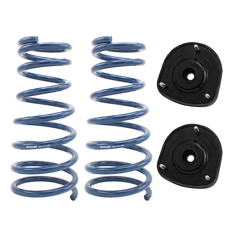 0" Rear Overload Spring Kit - Fits 98-02 Subaru Forester 1