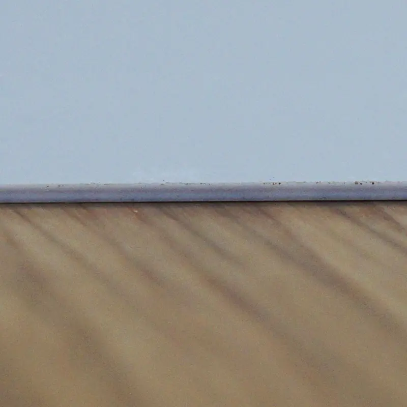 Armored Komodo Pla Plate (1Mm) 1