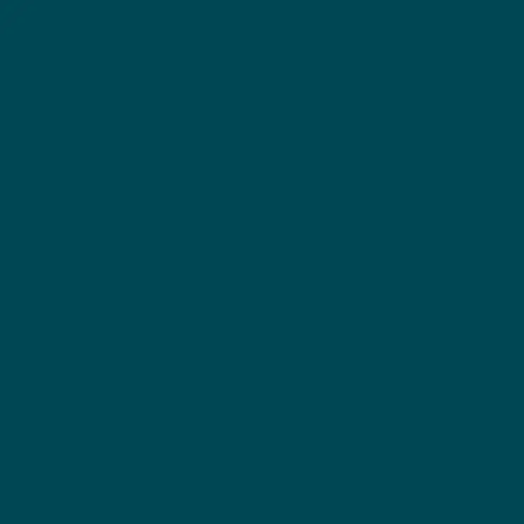 C014 Mr.Color Navy Blue (Semi Gloss / Us Navy) 1