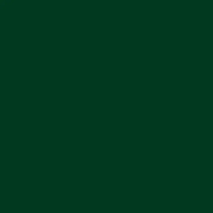 C015 Mr.Color Ijn Green Nakajima (Semi Gloss / Nakajima) 1