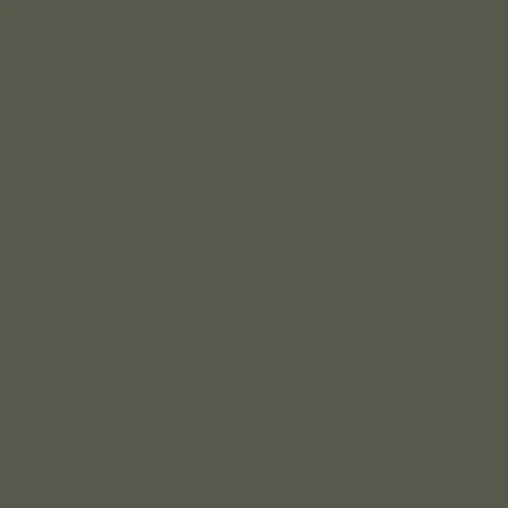 C017 Mr.Color Rlm71 Dark Green (Semi Gloss / De Air Force) 1
