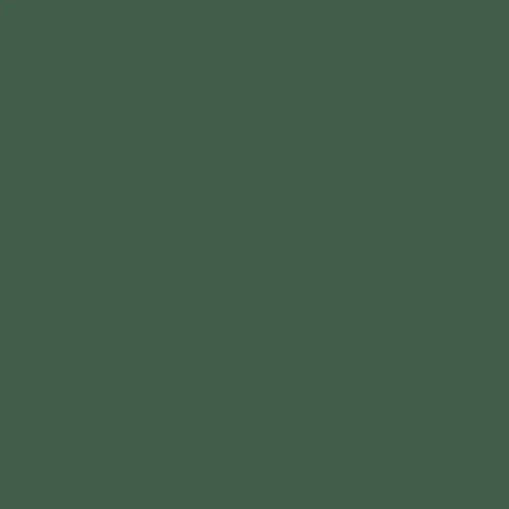 C023 Mr.Color Dark Green 2 (Semi Gloss / Gb Army, Air Force) 1