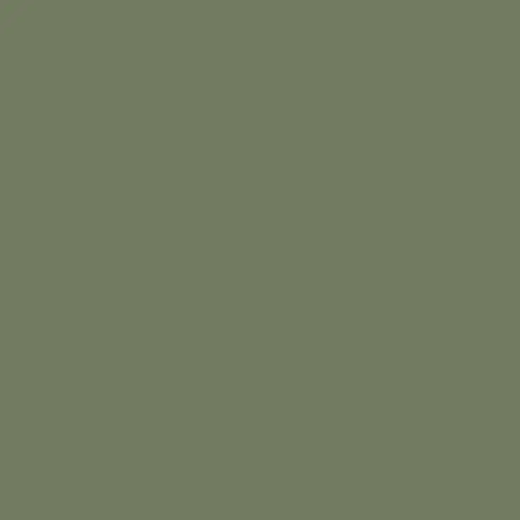 C025 Mr.Color Dark Seagray (Semi Gloss / Gb Air Force) 1