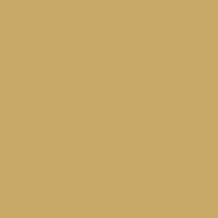 C044 Mr.Color Tan (Semi Gloss / Ship) 1
