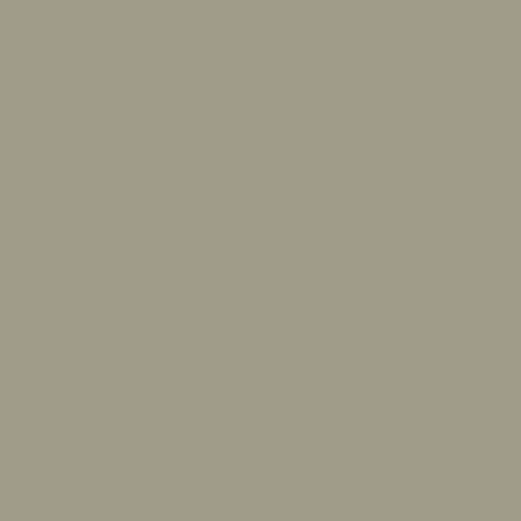C060 Mr.Color Rlm02 Gray (Semi Gloss / De Air Force) 1