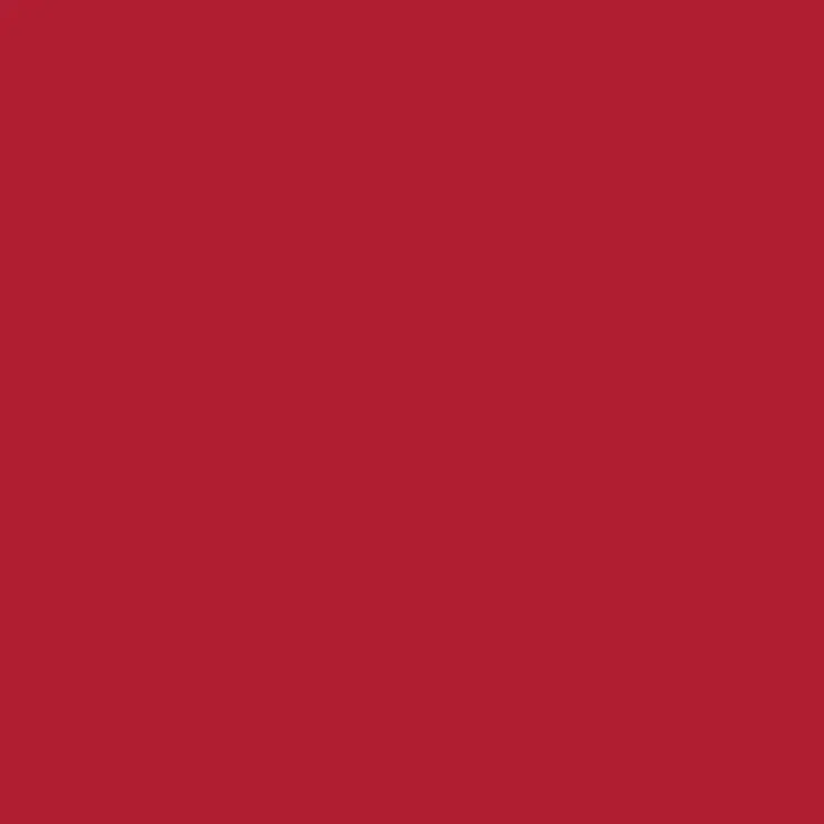 C100 Mr.Color Wine Red (Gloss / Automobile) 1