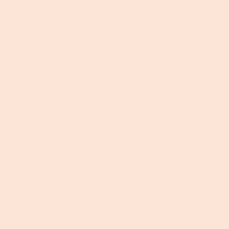 C111 Mr.Color Character Flesh 1 (Semi Gloss / Primary) 1