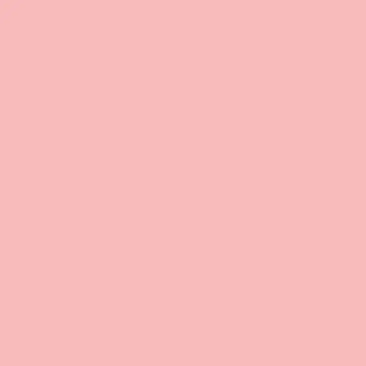 C112 Mr.Color Character Flesh 2 (Semi Gloss / Primary) 1