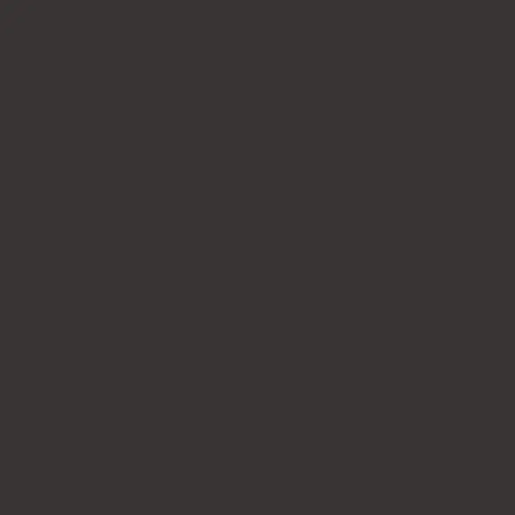 C116 Mr.Color Rlm66 Black Gray (Semi Gloss / De Air Force) 1