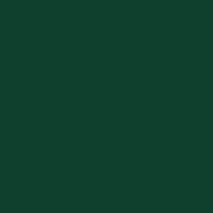 C120 Mr.Color Rlm80 Olive Green (Semi Gloss / De Air Force) 1