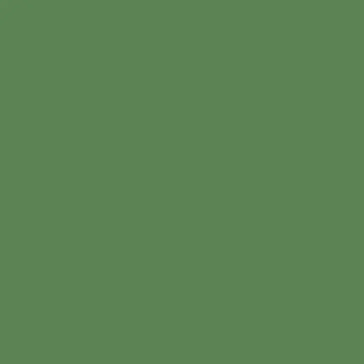 C122 Mr.Color Rlm82 Light Green (Semi Gloss / De Air Force) 1