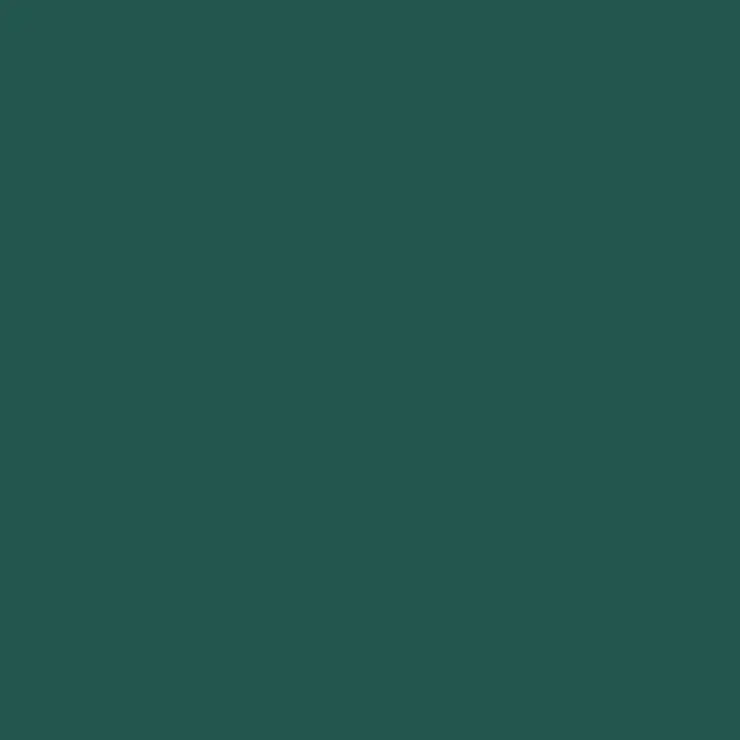 C123 Mr.Color Rlm83 Dark Green (Semi Gloss / De Air Force) 1