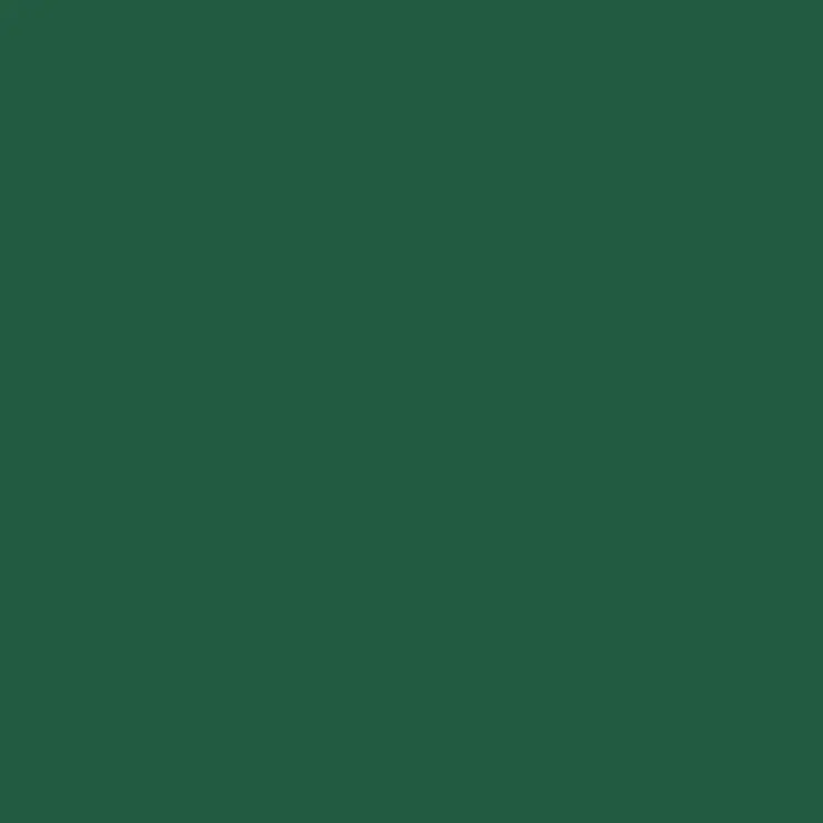 C136 Mr.Color Russian Green 2 (Flat / Wwii Su Army) 1