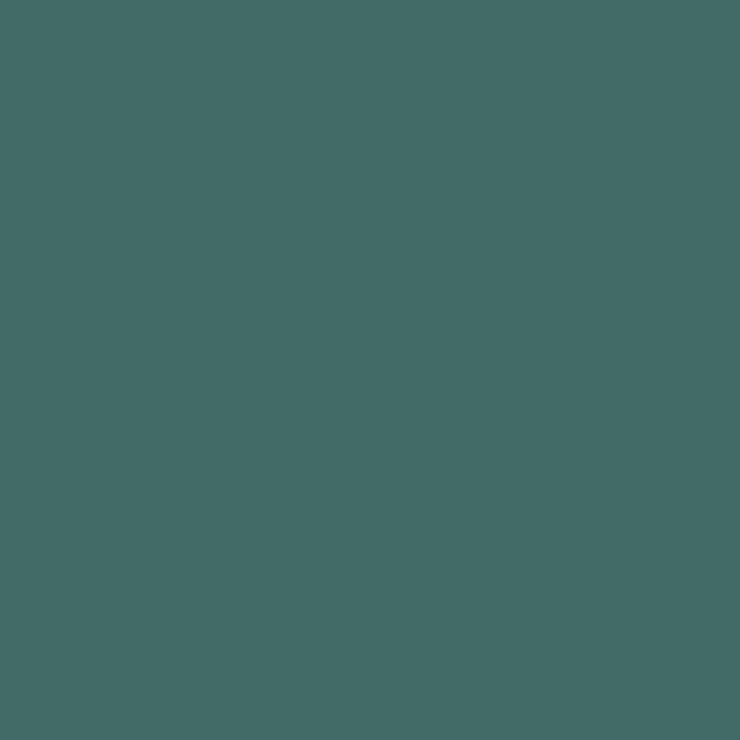 C305 Mr.Color Gray Fs36118 (Semi Gloss / Us Air Force) 1