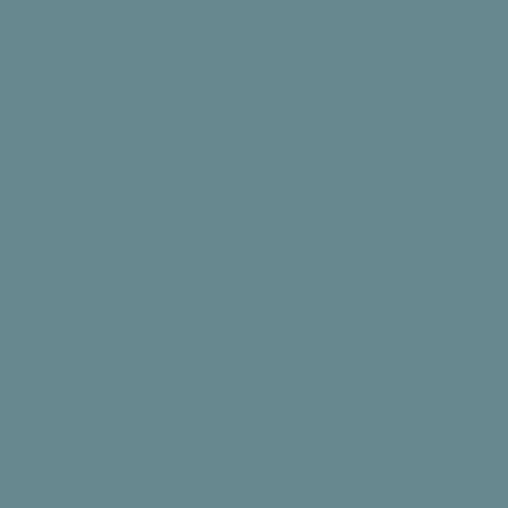 C307 Mr.Color Gray Fs36320 (Semi Gloss / Us Air Force) 1