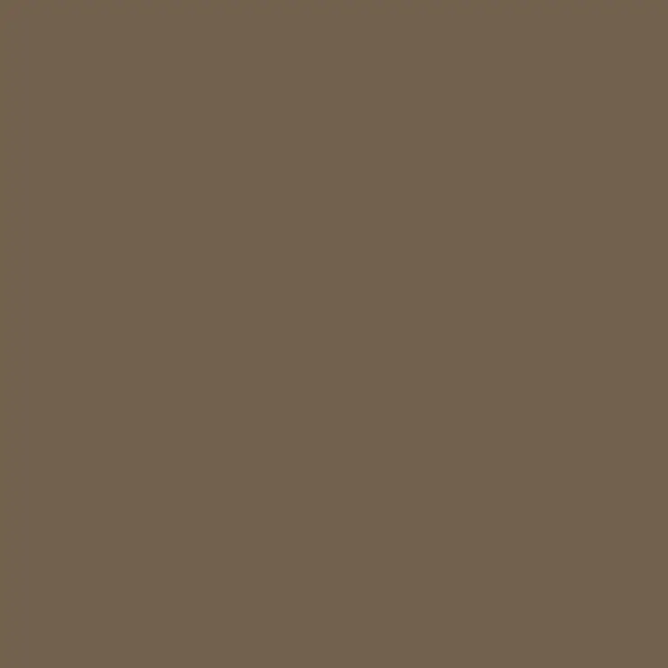 C310 Mr.Color Brown Fs30219 (Semi Gloss / Vn Camouflage) 1