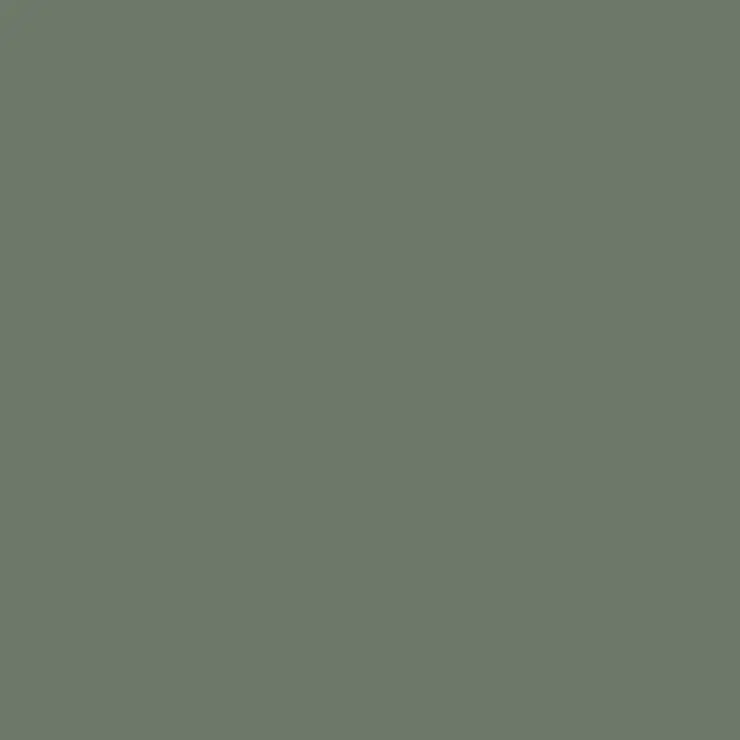 C317 Mr.Color Gray Fs36231 (Flat / Us Navy) 1