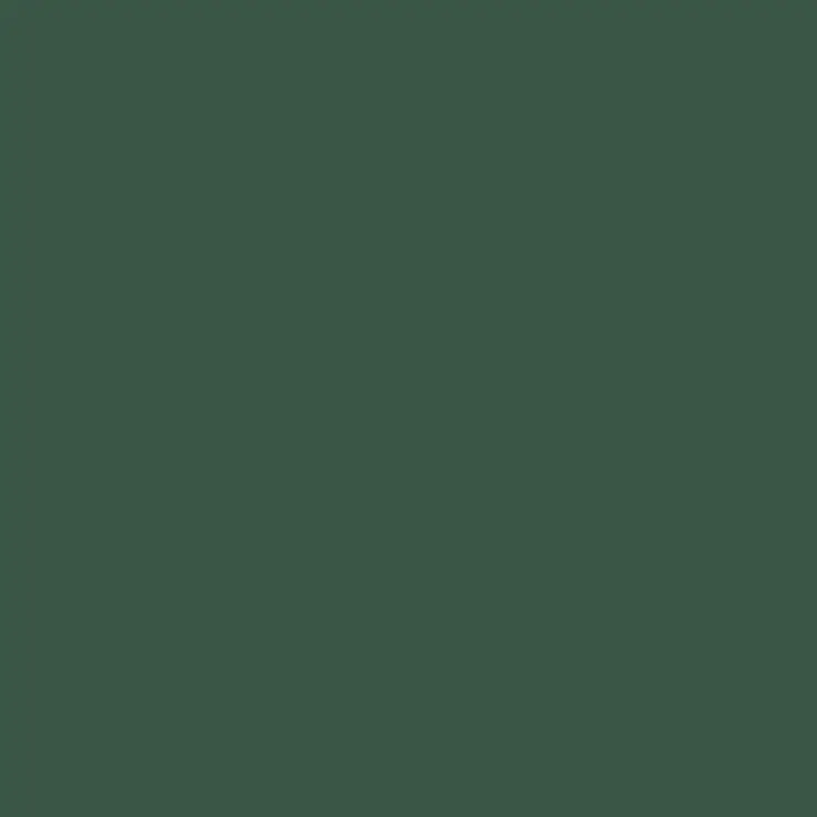 C320 Mr.Color Dark Green (Semi Gloss / Jp F-1 Camouflage) 1