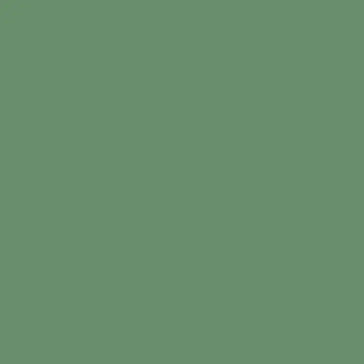 C336 Mr.Color Hemp Bs4800/10B21 (Semi Gloss / Gb Air Force) 1