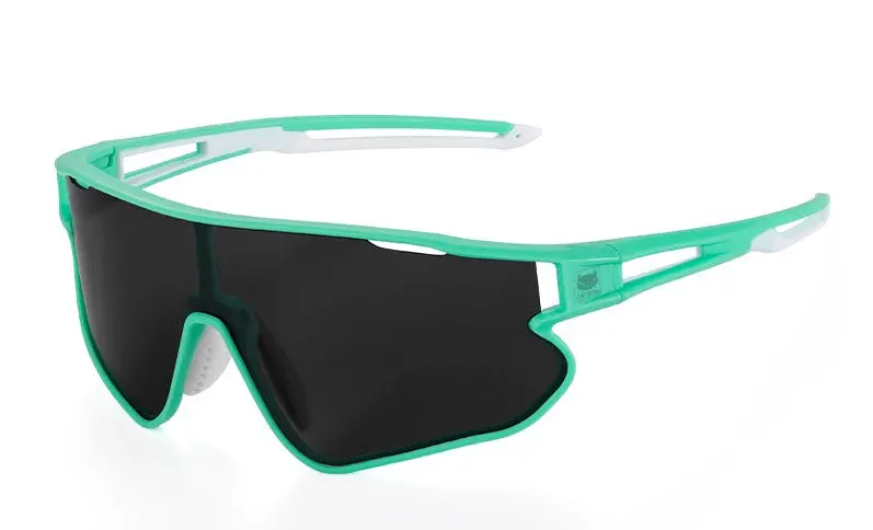 Cateye 偏光太陽眼鏡 1.5 / Cateye A.R Polarized Eyewear 1.5 3