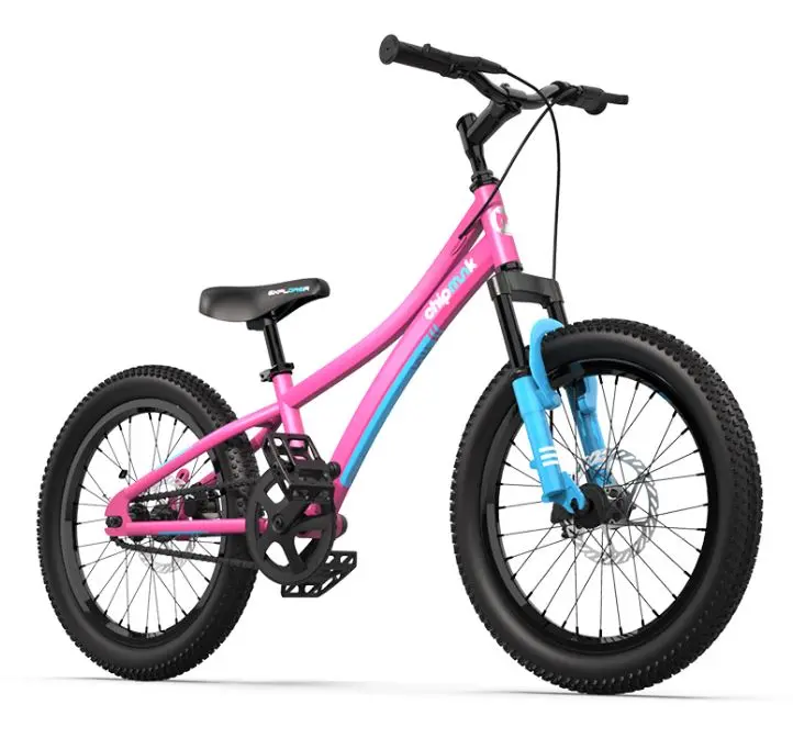 Chipmunk 小花鼠 Cm20-3 鋁合金碟剎童車-20寸 / Chipmunk Cm-3 Aluminum Steel Kids Bike - 20" 1