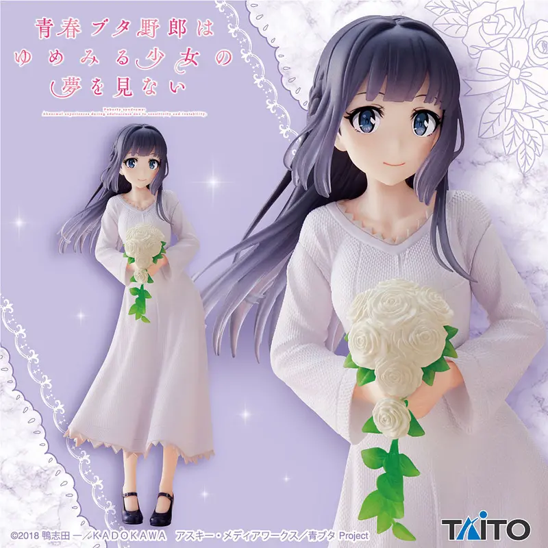 Coreful Figure: Shoko Makinohara (Rascal Does Not Dream) 1