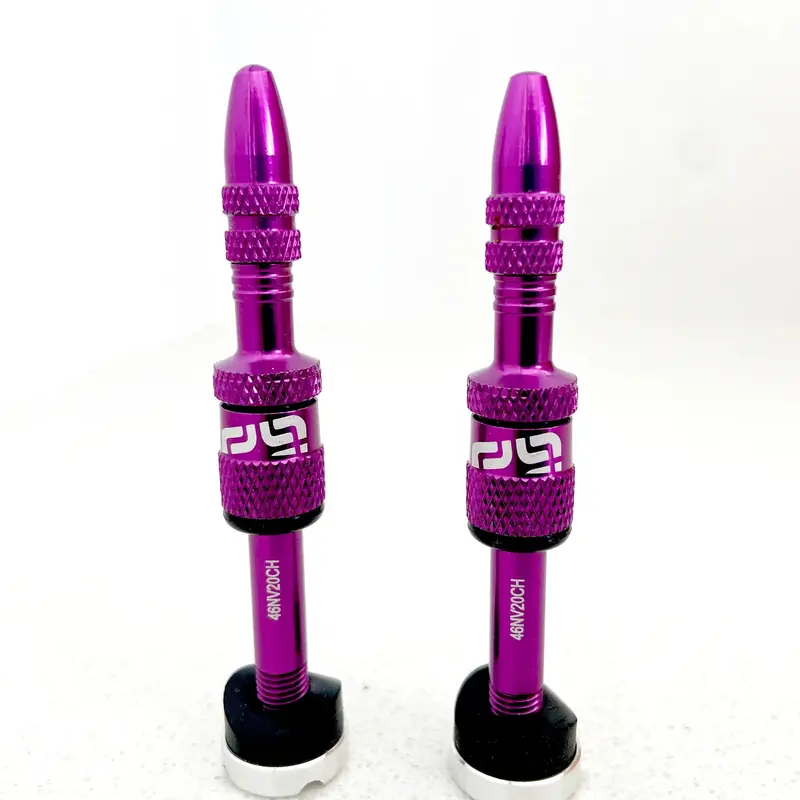 E13 Quickfill 真空呔喉咀~23-31Mm~1包2粒/ E13 Quickfill Tubeless Valves~23-31Mm~2 Pcs/ Set 2