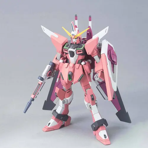 Hg Infinite Justice Gundam 1