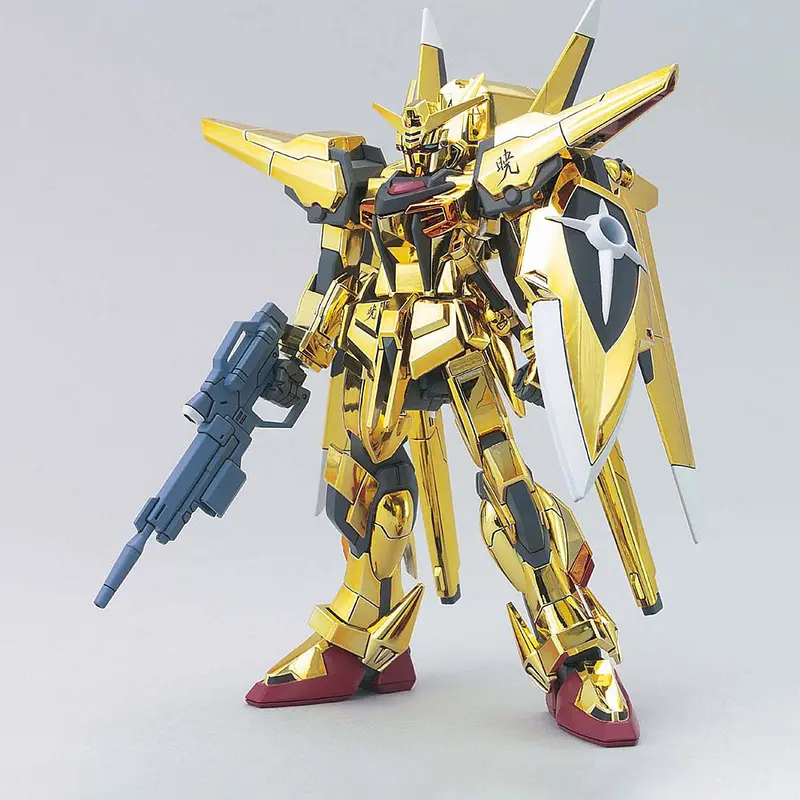 Hg Oowashi Akatsuki Gundam 1