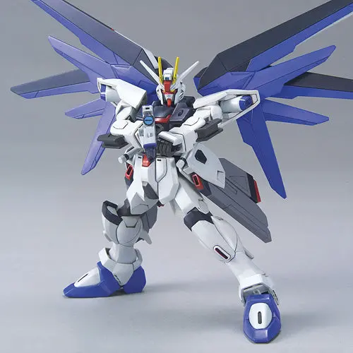 Hg R15 Freedom Gundam 1