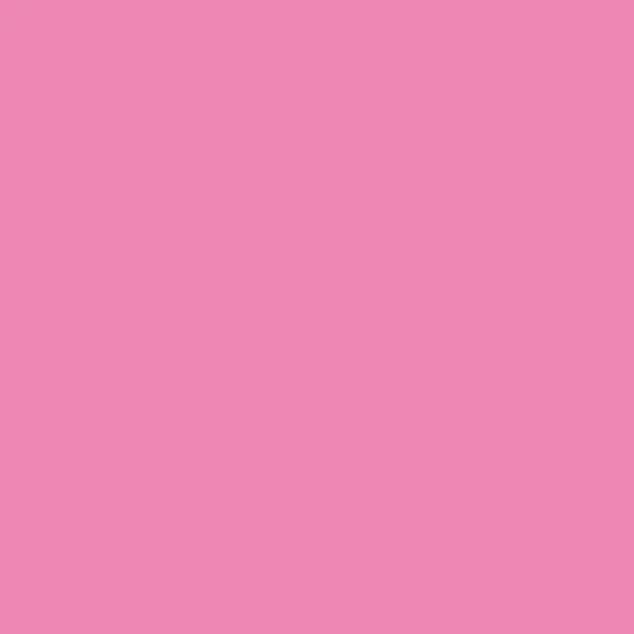 Hug207 Live Concert Pink 1