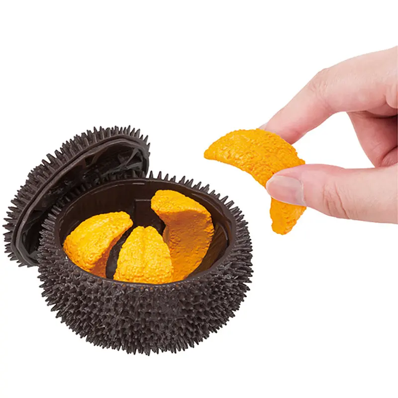 Kaitai Puzzle Sea Urchin 1