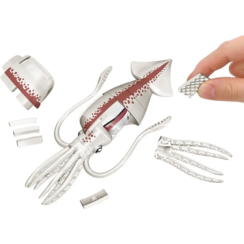 Kaitai Puzzle Squid 1