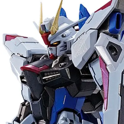 Metal Build Freedom Gundam Concept 2 2