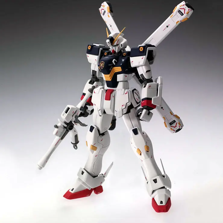 Mg Xm-X1 Crossbone Gundam X1 Ver.Ka 2