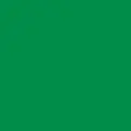 N006 Acrylic Green (Gloss) 1