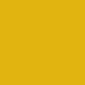 N009 Acrylic Gold (Metallic) 1