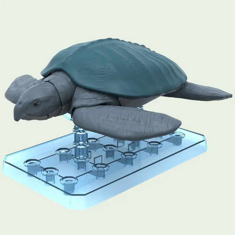Plannosaurus Archelon 1