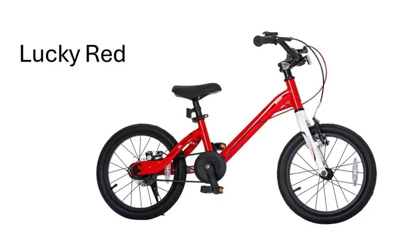 Royal Baby B-26 Mars 前v後碟剎鋁合金童車 /Royal Baby B-26 Mars Alloy Kids Bike 3