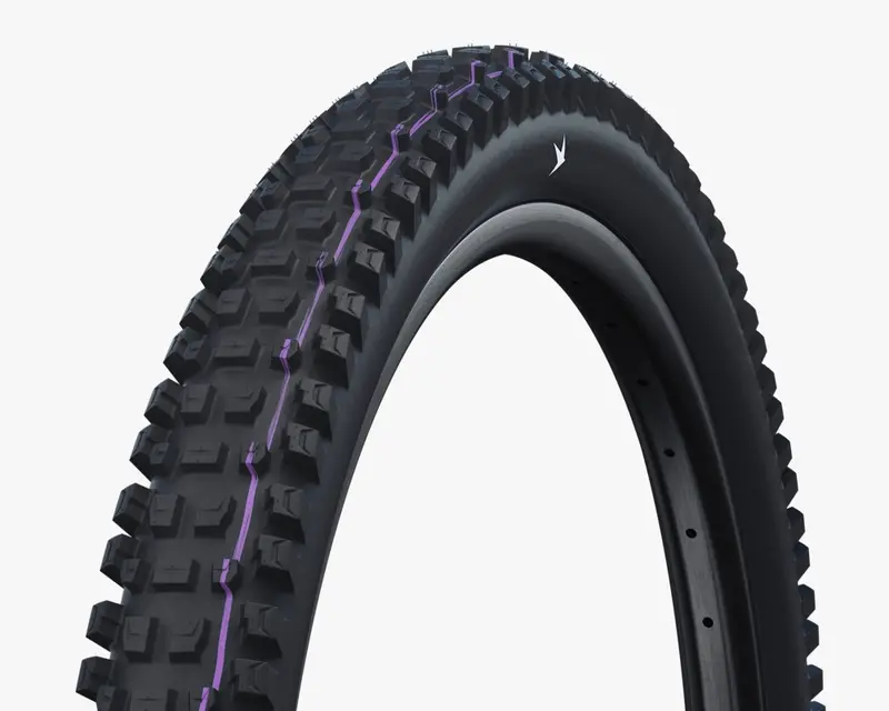 Schwalbe Albert Pro Evo Radiai 真空可摺外呔 / Schwalbe Albert Pro Evo Tubeless Radiai Folding Tire 1