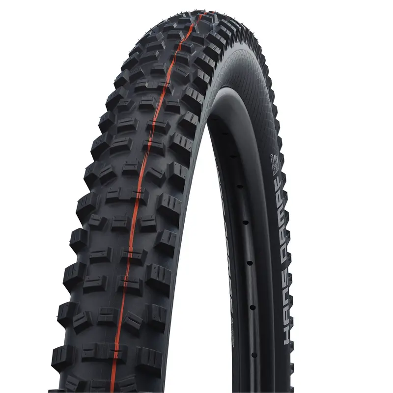 Schwalbe Hans Dampf 可摺外呔/ Schwalbe Hans Dampf Folding Tire 1