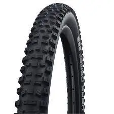 Schwalbe Hans Dampf 真空可摺外呔/ Schwalbe Hans Dampf Tubeless Tire 1