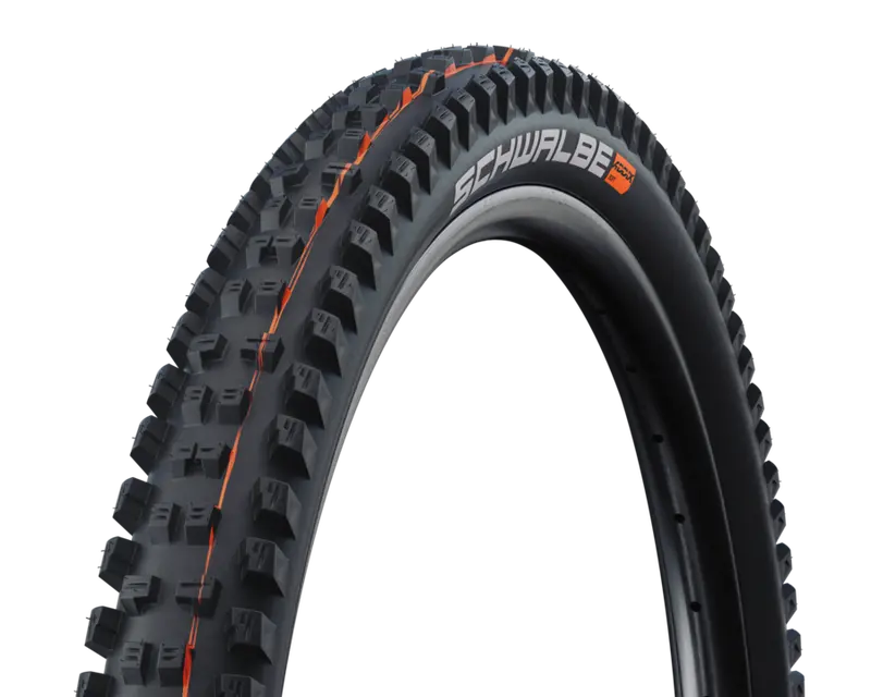 Schwalbe Tacky Chan Evo 真空可摺外胎 1