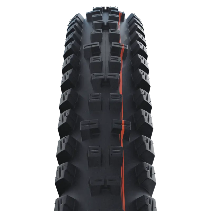 Schwalbe Tacky Chan Evo 真空可摺外胎 2