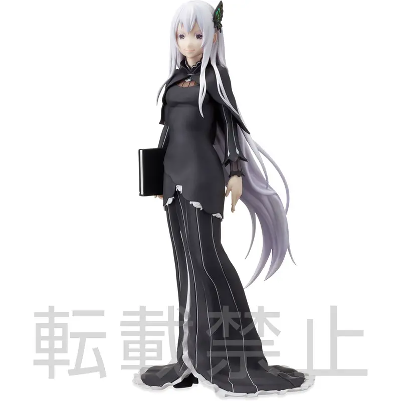 Spm Figure: Echidna 1