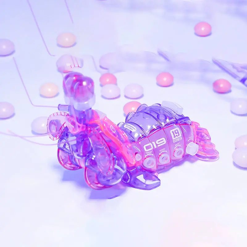 Squill (Purple) 1