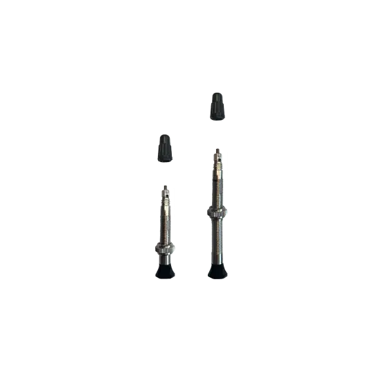 Vittoria 鋁合金單向真空呔咀 (2支) / Vittoria Singleway Tubeless Brass Valve (2Pcs) 1