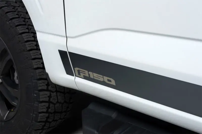 Putco Licensed Black Platinum Rocker Panel Trim For 2021 Ford F-150 Supercrew (6.5-Foot Box, 12-Piece Set) 1