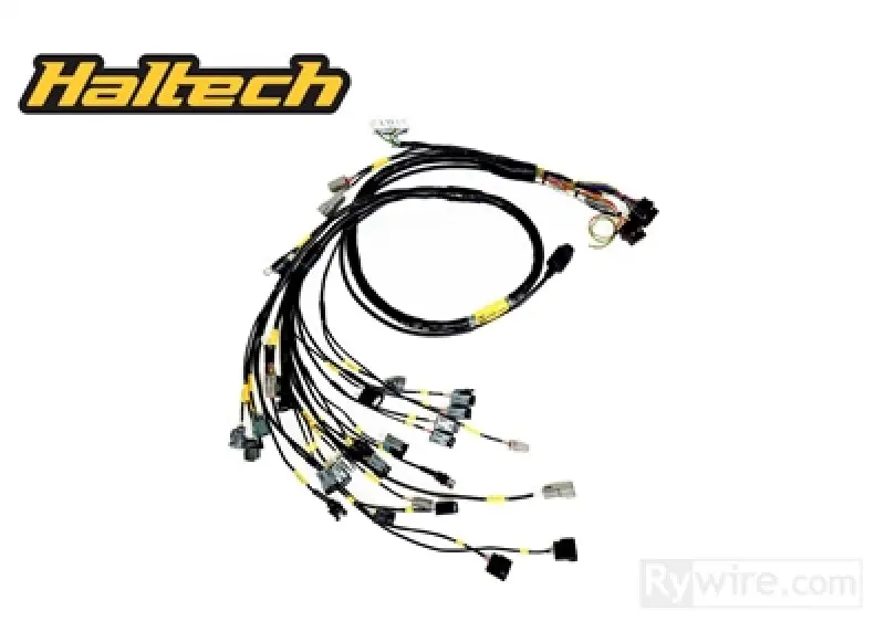Rywire Custom Engine Harness For Honda B-Series Engines – Compatible With Haltech Elite 1500+, Obd1 Alternator, Ev14 Injectors, Aem Iat & Map Sensors (Adapter Required) 1